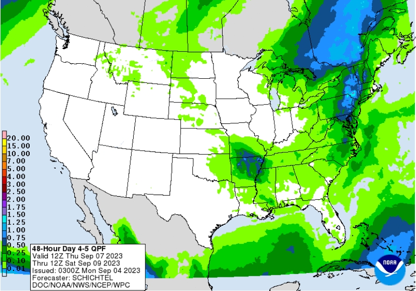 Rascunho automático